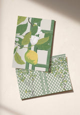 Treillage Sample - NATUREL