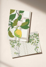 Treillage Sample - ORIGINAL