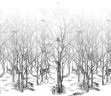 Forêt Enchantée