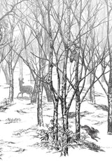 Forêt Enchantée