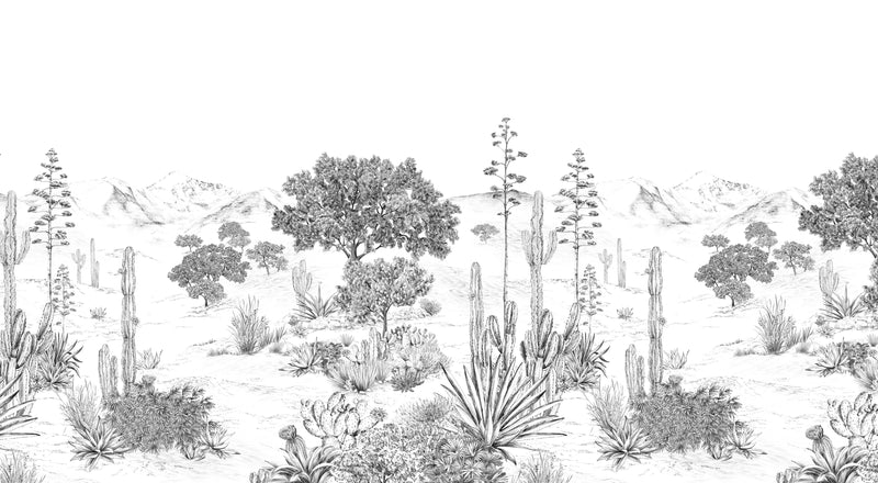 Succulentes bespoke