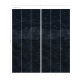 COSMOS NUIT