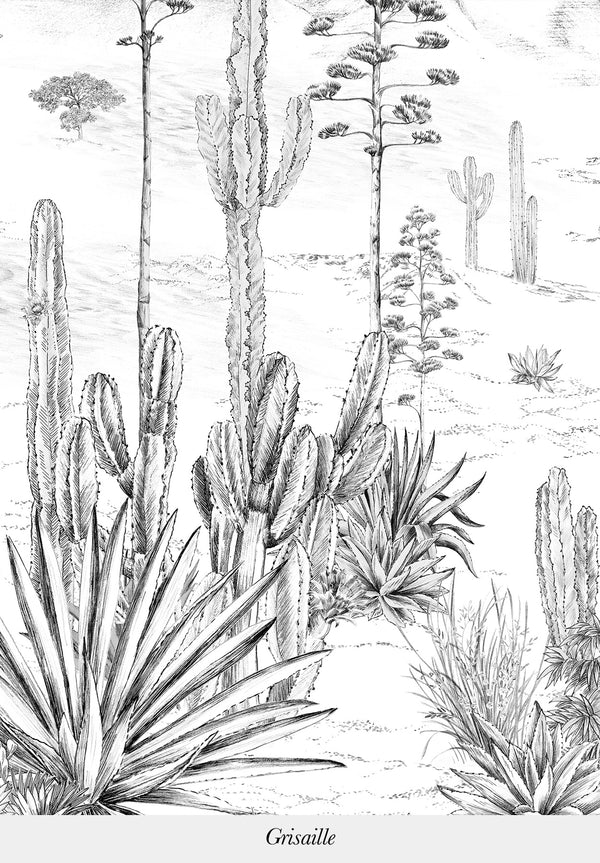 Succulentes bespoke